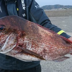 第三共栄丸 釣果