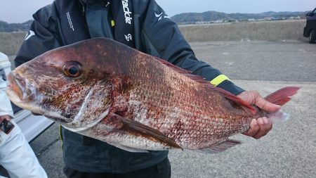 第三共栄丸 釣果