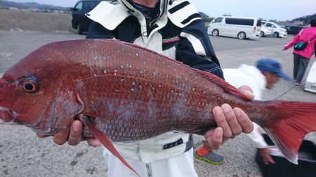 第三共栄丸 釣果