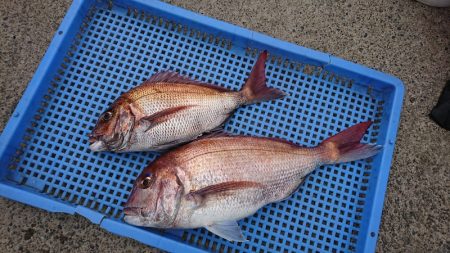 第三共栄丸 釣果