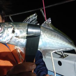 シースナイパー海龍 釣果