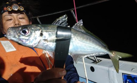 シースナイパー海龍 釣果