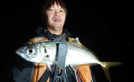 シースナイパー海龍 釣果
