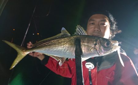 シースナイパー海龍 釣果