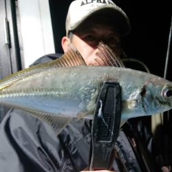 シースナイパー海龍 釣果