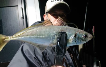 シースナイパー海龍 釣果