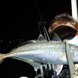 シースナイパー海龍 釣果