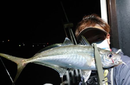 シースナイパー海龍 釣果