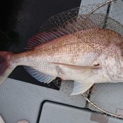 遊漁船 家入 釣果