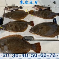 末広丸(熊本) 釣果