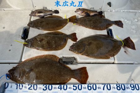 末広丸(熊本) 釣果