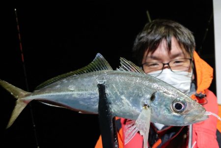 シースナイパー海龍 釣果