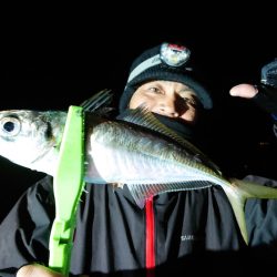 シースナイパー海龍 釣果