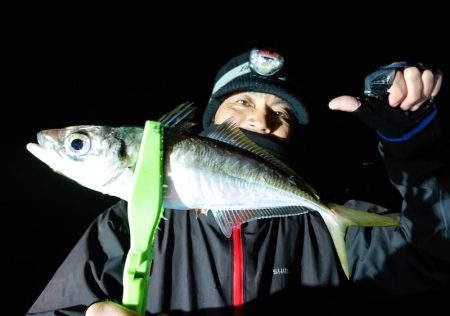 シースナイパー海龍 釣果