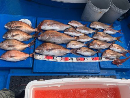 釣鯛洋 釣果
