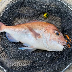 和栄丸 釣果