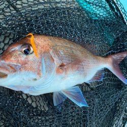 和栄丸 釣果