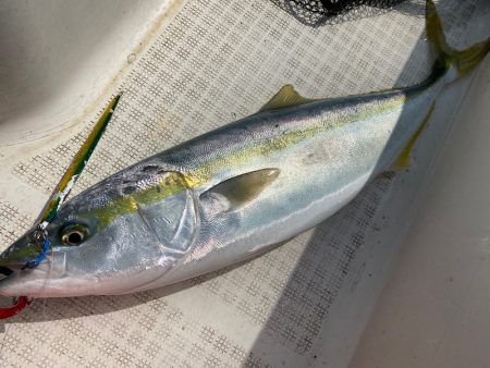 「LaGooN」蒼陽丸 日和号　 釣果