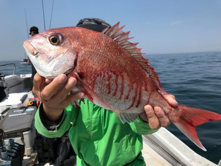 ランスルー 釣果