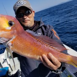 アマテラス 釣果