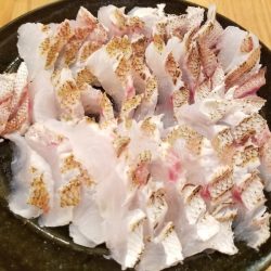 アマテラス 釣果