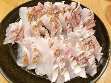 アマテラス 釣果