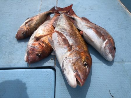 第二八坂丸 釣果