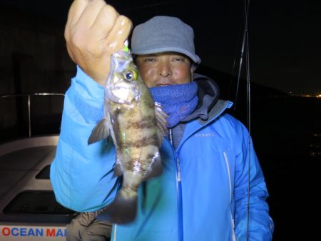 Chase（チェイス） 釣果