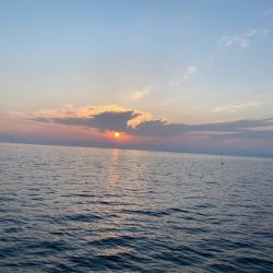 末広丸(熊本) 釣果