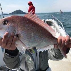 ランスルー 釣果