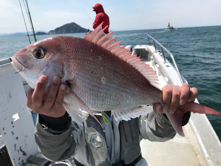 ランスルー 釣果