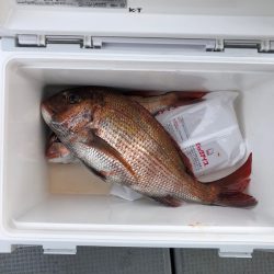 遊漁船高橋 釣果