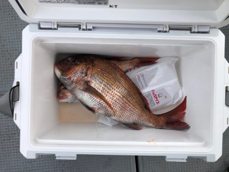 遊漁船高橋 釣果