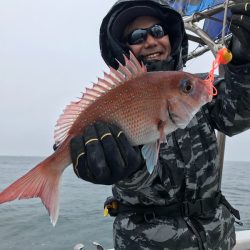 ランスルー 釣果