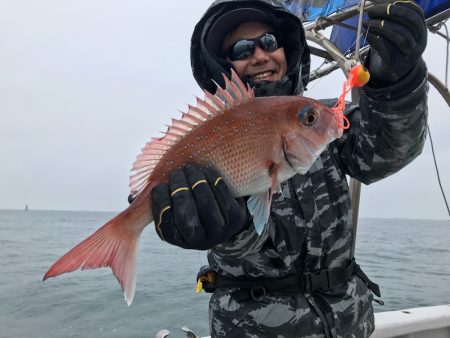 ランスルー 釣果