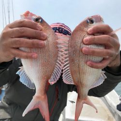 ランスルー 釣果