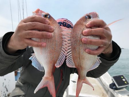 ランスルー 釣果