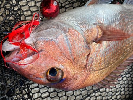 龍神丸（鹿児島） 釣果