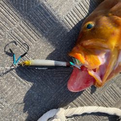 Monster Rush! 釣果