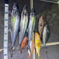 Monster Rush! 釣果