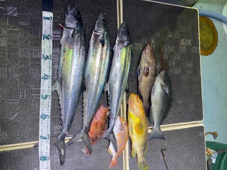 Monster Rush! 釣果