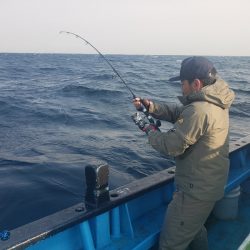 丸万釣船 釣果