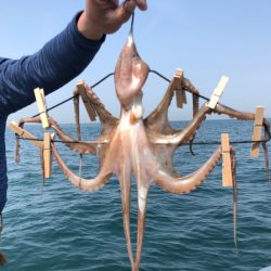 Ｖ−７ West 釣果