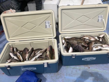 第二　つれたか丸 釣果