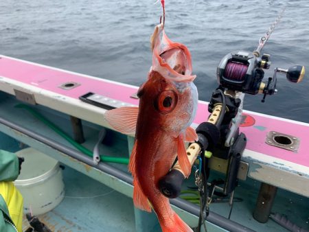 ぽん助丸 釣果