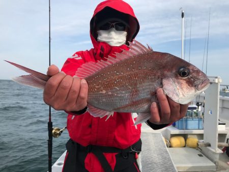 ランスルー 釣果