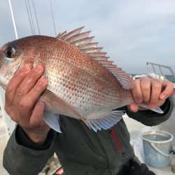 ランスルー 釣果