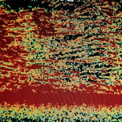 シースナイパー海龍 釣果