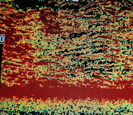 シースナイパー海龍 釣果