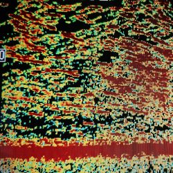 シースナイパー海龍 釣果